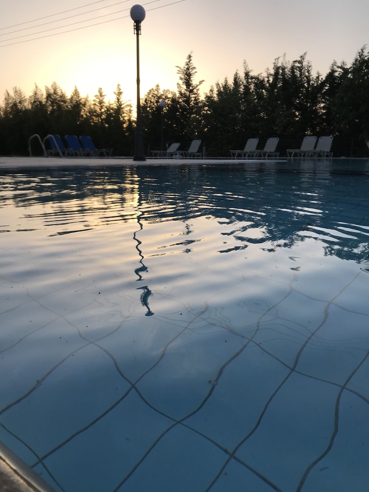 Photo 31