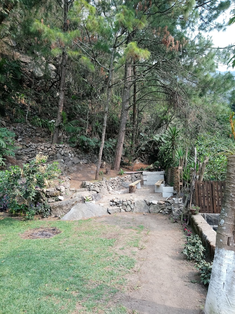 Photo 19