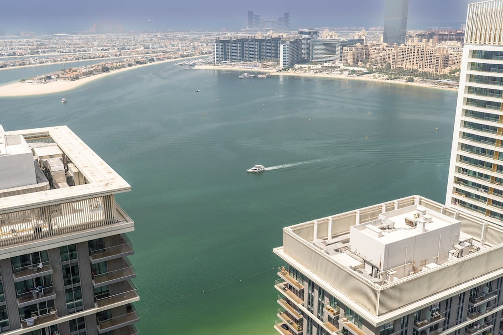 1 Bedroom in Marina Vista With Full Palm Views