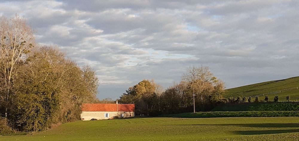 Photo 46