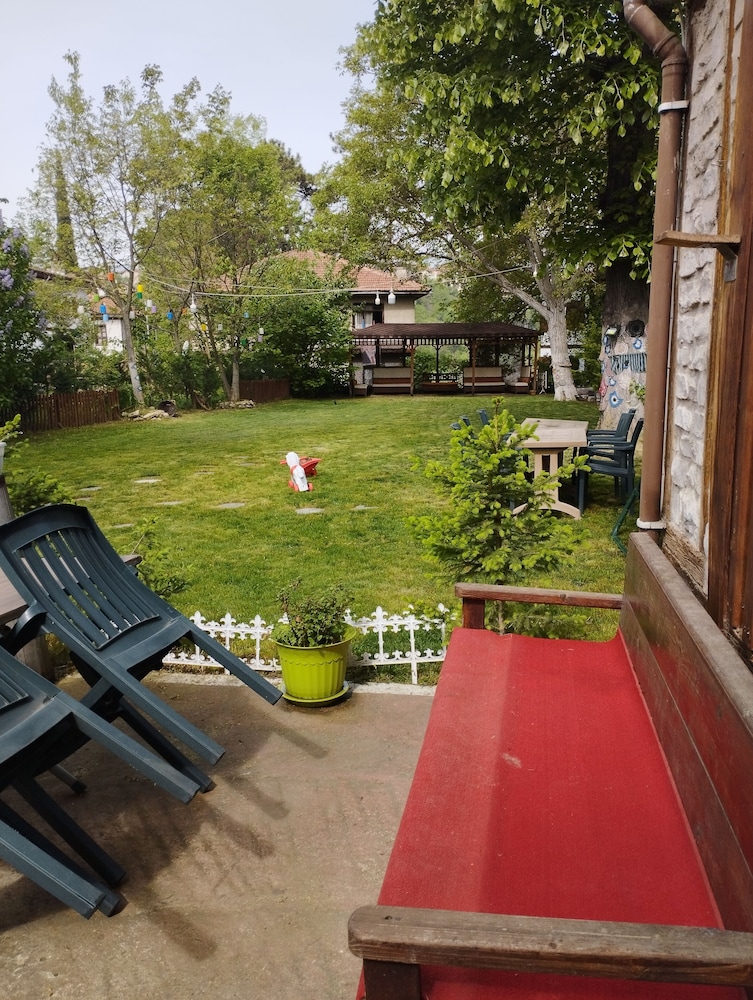 Photo 8
