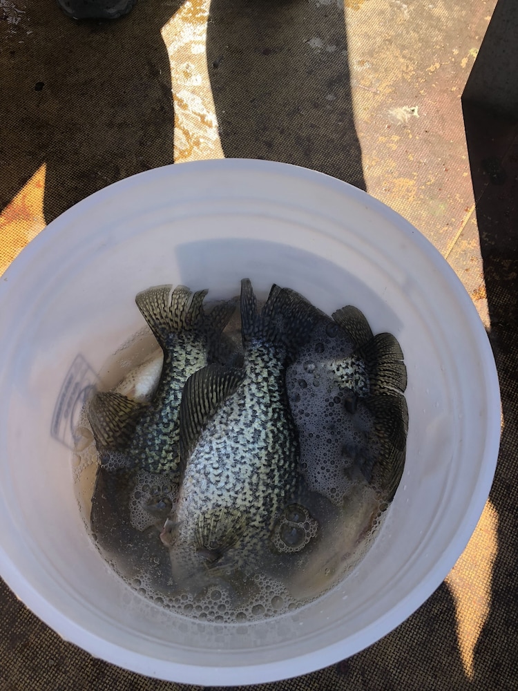 Indian Beach Resort - Property Image 38