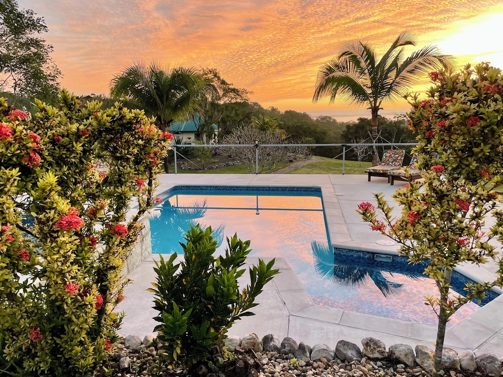 Gumbo Limbo Jungle Resort