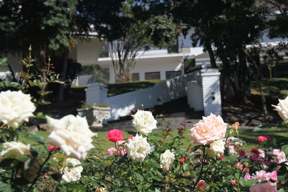 Sheppard Boutique Guesthouse