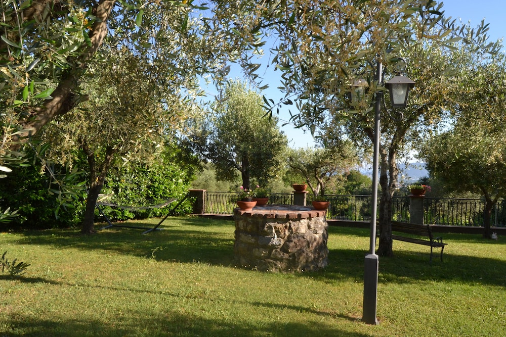 Photo 66