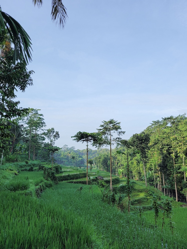 Les Rizieres Lombok - Tetebatu