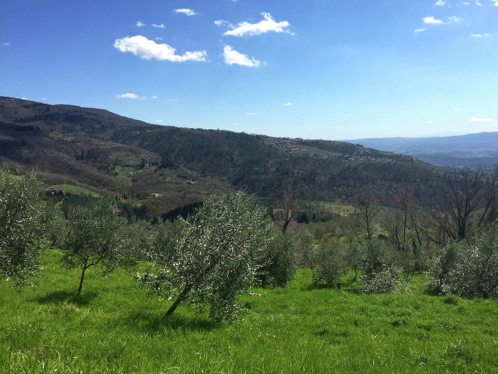 Farmhouse in Castelfranco Piandisco With Garden view 2