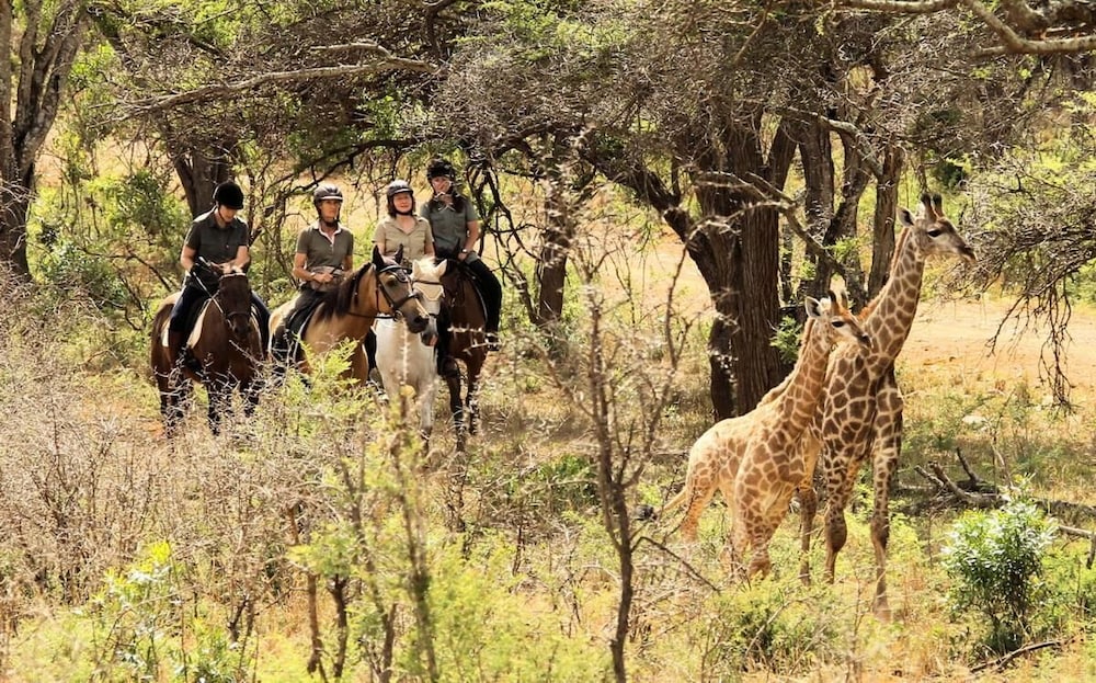 Pakamisa Private Game Reserve