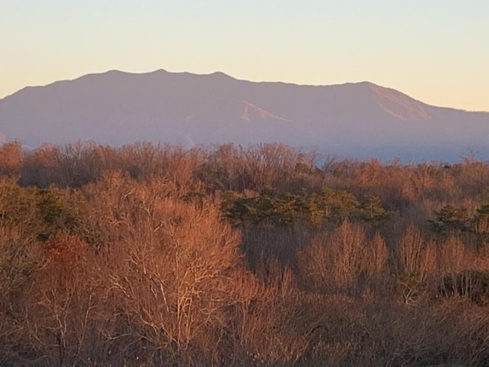 Mountain View Condo 3702