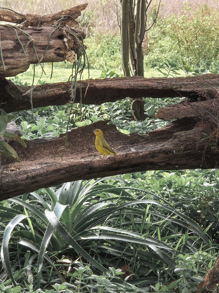 Wild Wetlands Lodge