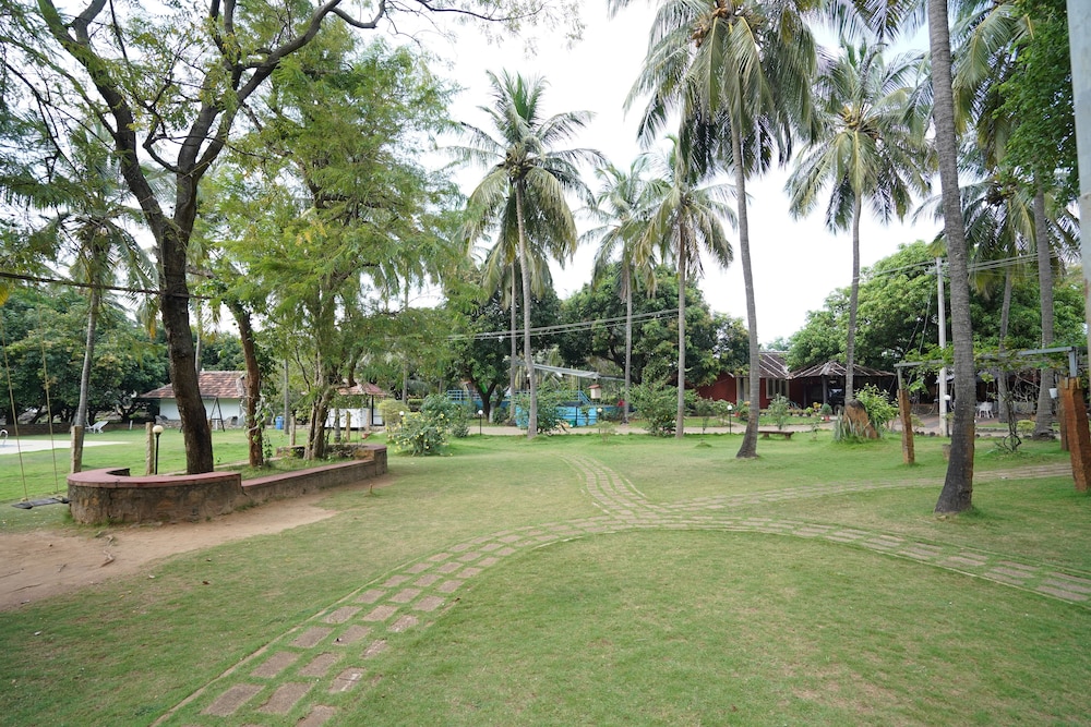Mango Village
