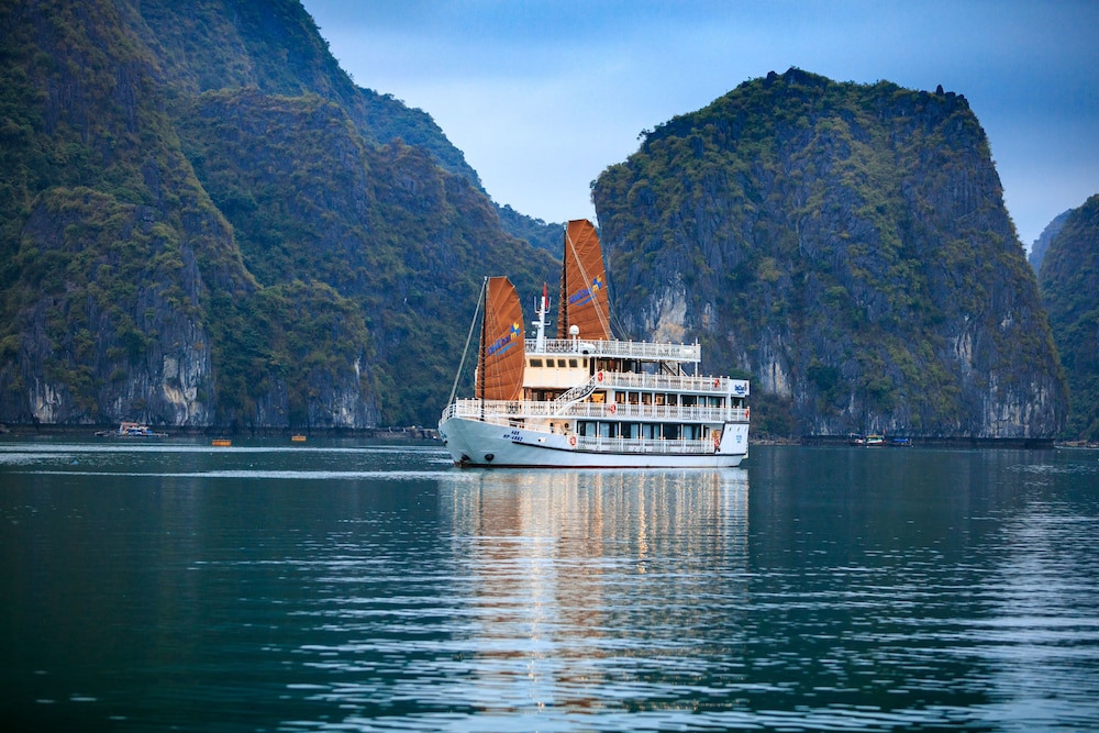 UniCharm Cruise