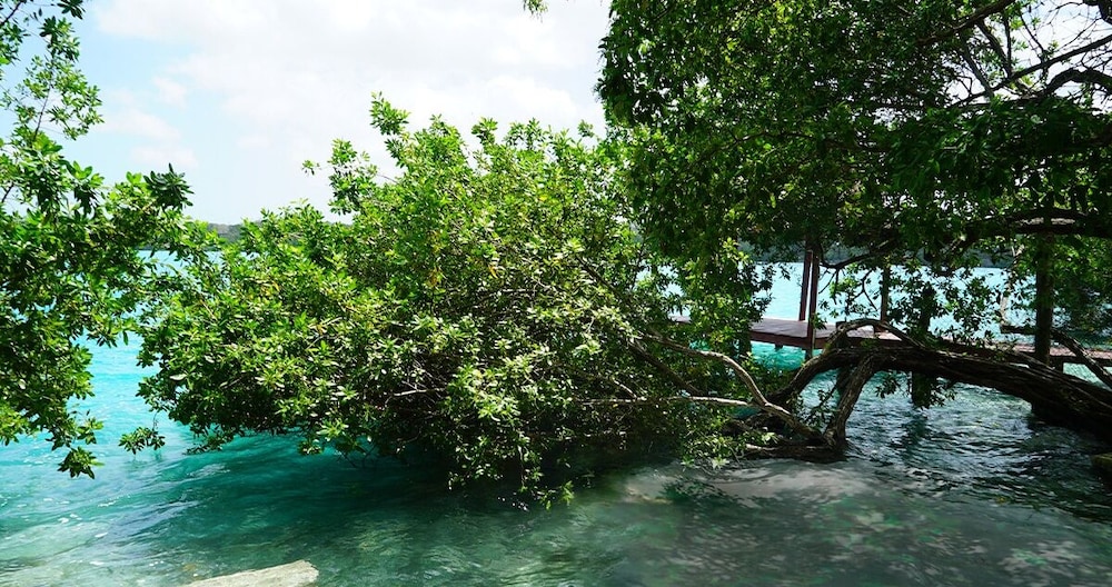 LAGUNA SECRETA BACALAR view 4