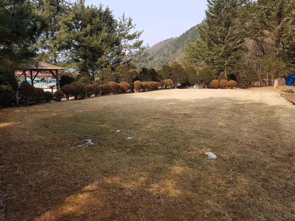 Photo 48