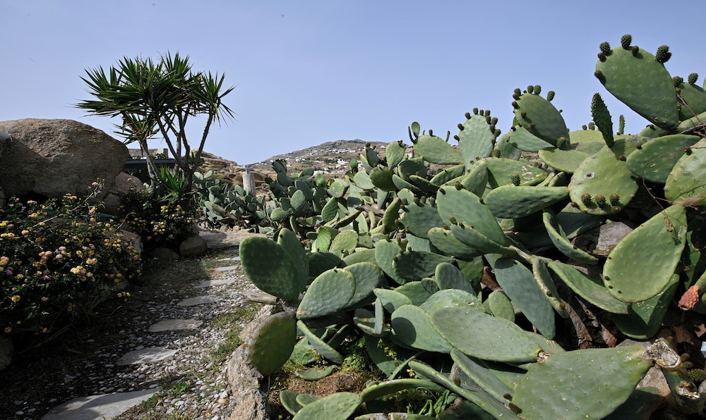 Photo 40