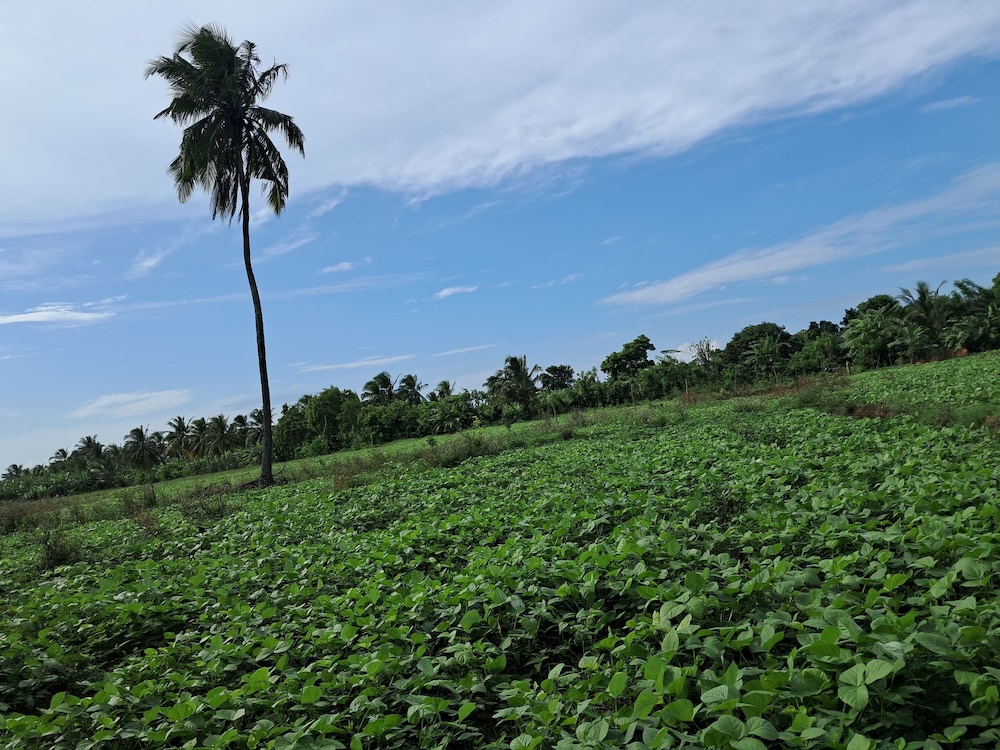 Thumbaya Resort Yala