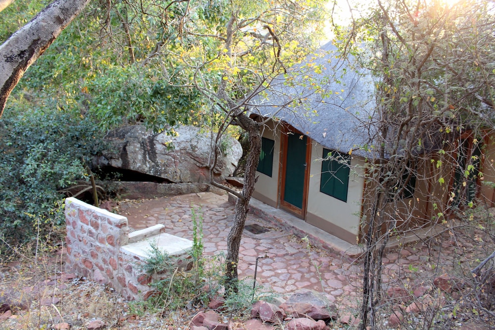 Photo 9