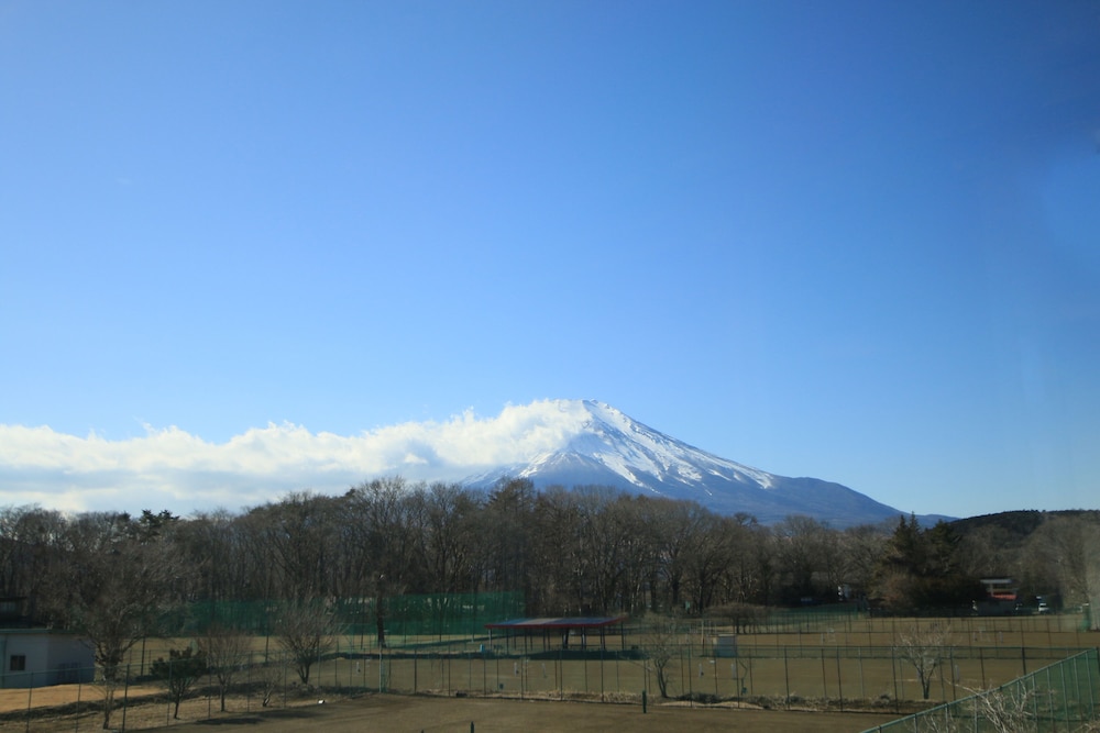 Photo 44