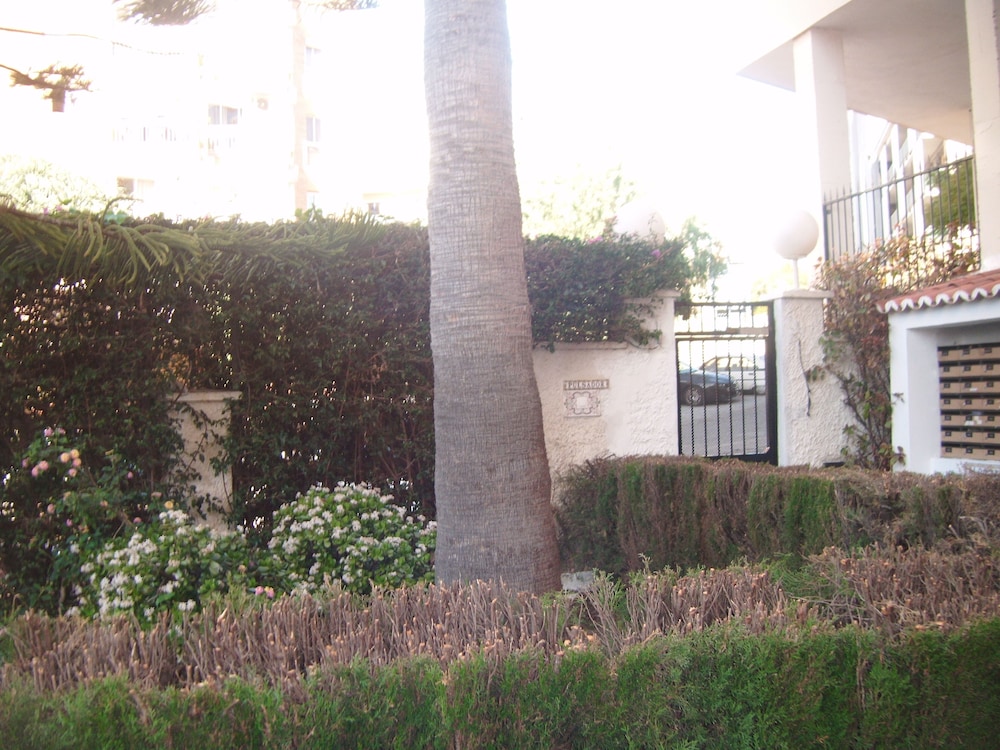 Photo 46