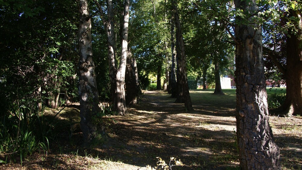 The Birches Bed & Breakfast
