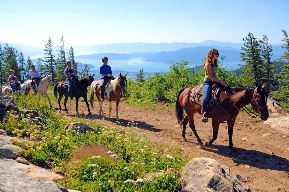 Sandpoint Vacations - Humbird - Property Image 3