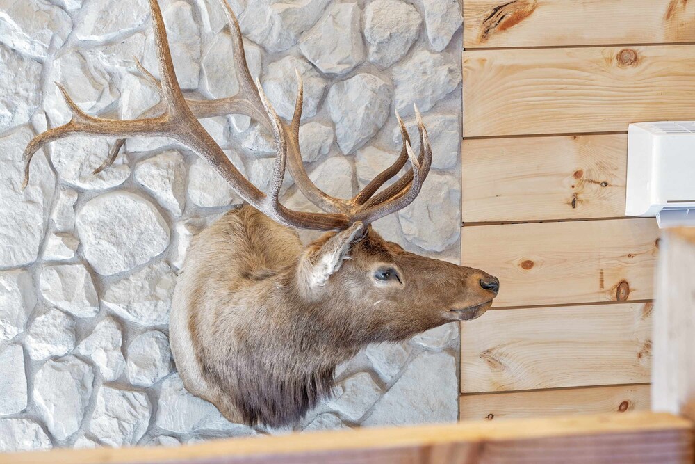 Elk Lodge Cabin for 4!