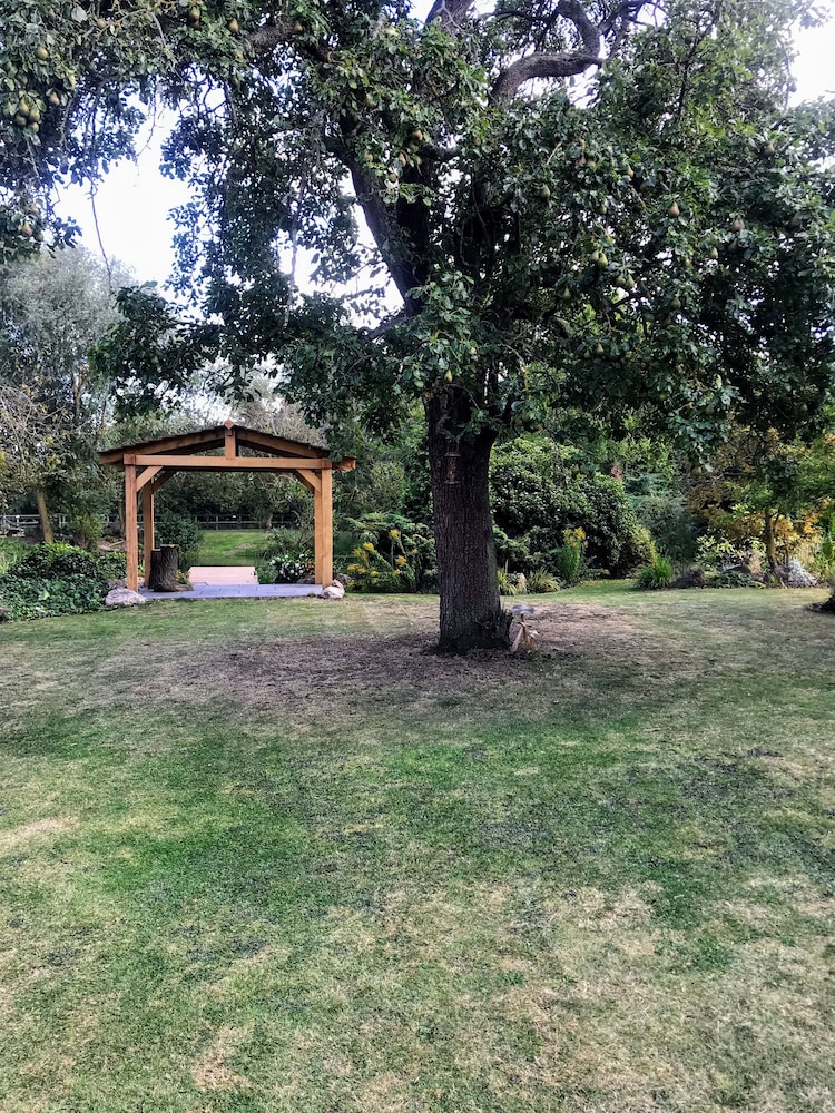 Photo 36