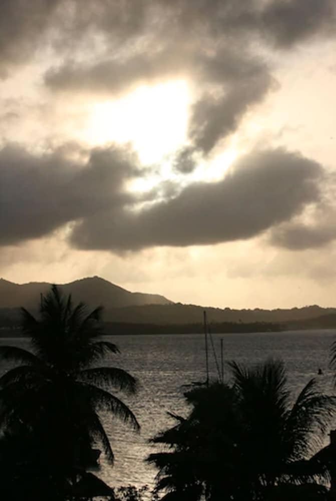 Hotel on the Cay - Property Image 4