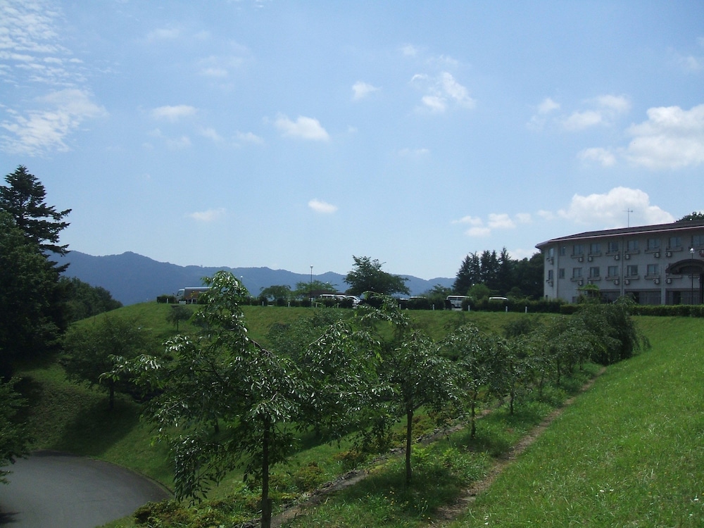 Photo 43