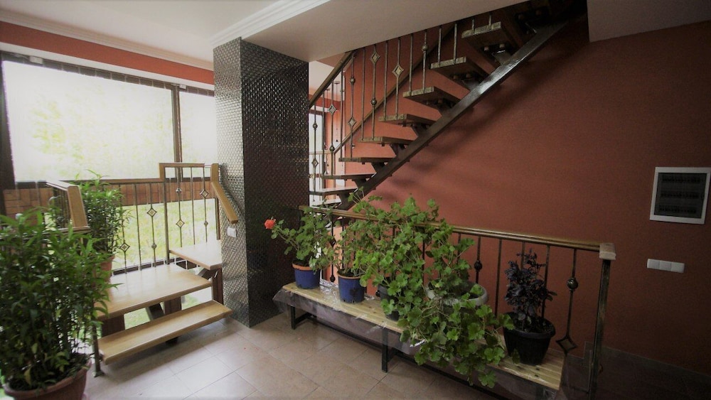 Photo 46