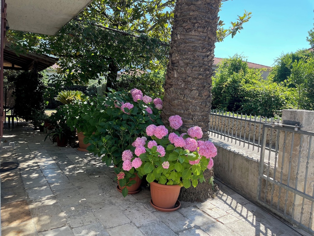 Room in House - S2 - Double Room in Jelsa on Hvar With Private Ensuite Bathroom view 4