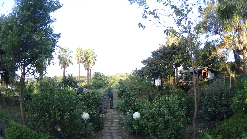 Memory In Jeju Pension