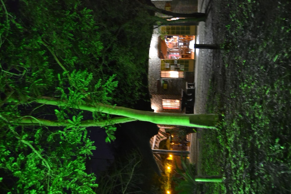 Photo 45