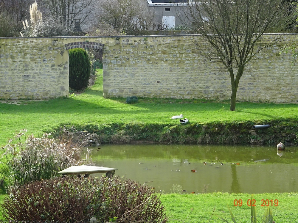 Photo 21