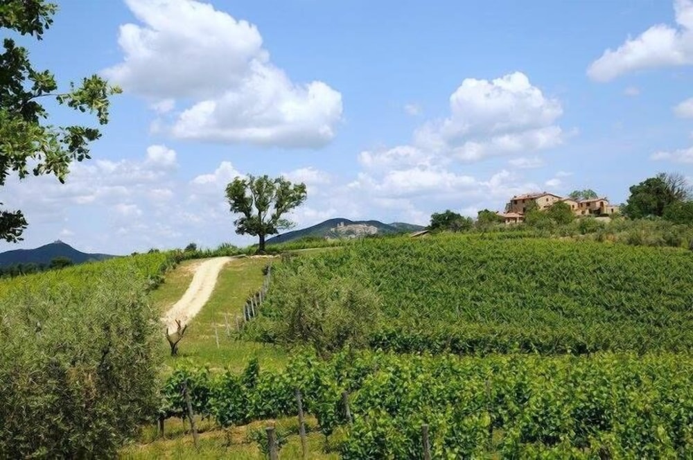 Agriturismo Castello di Bucignano