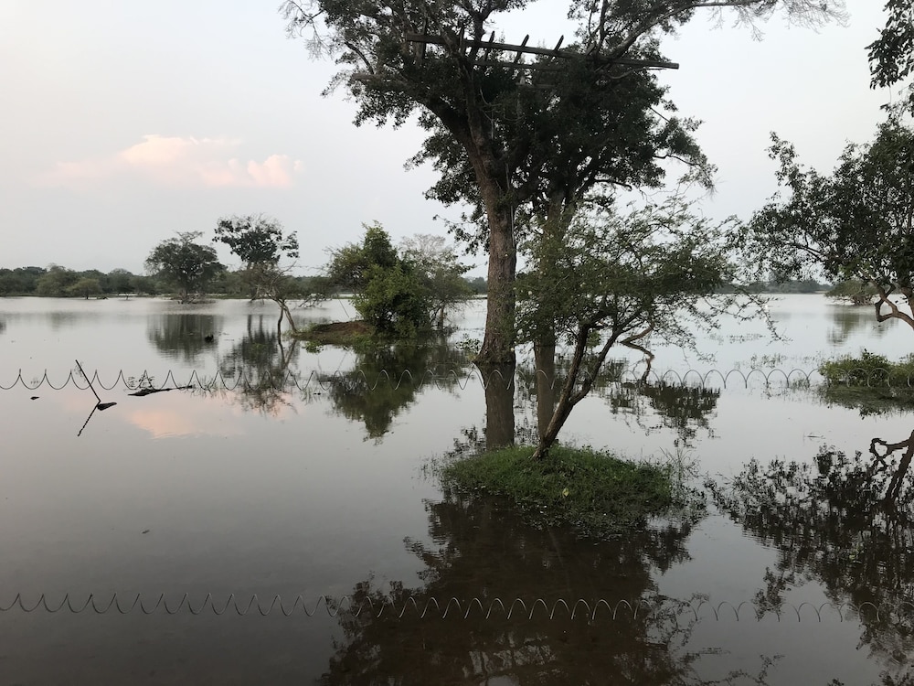 Elephant Lake Yala