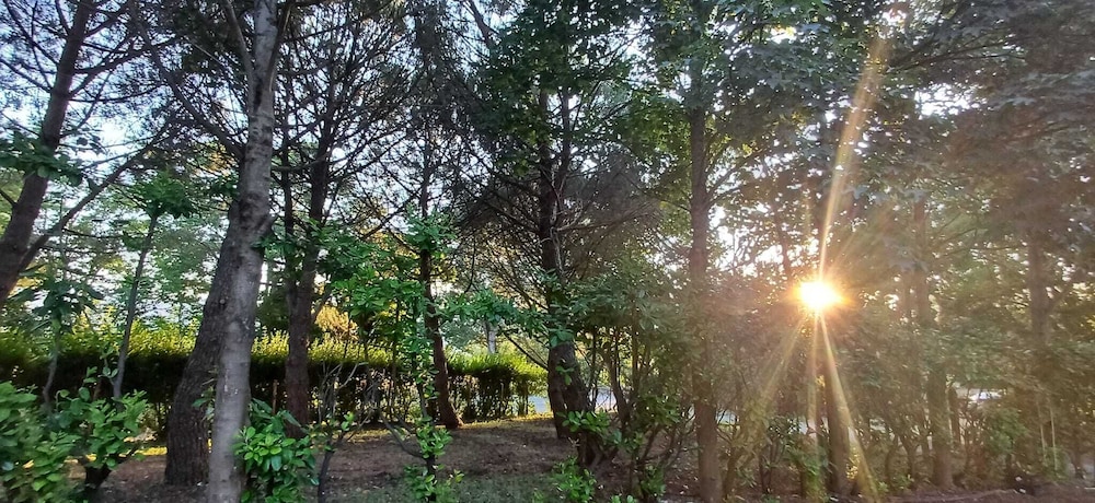 Casale Trifoglio