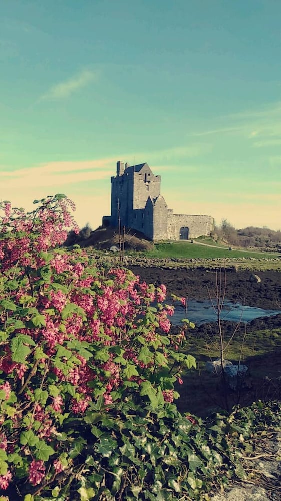 Studio Apartment Sleeps up to 4 Guests in Kinvara