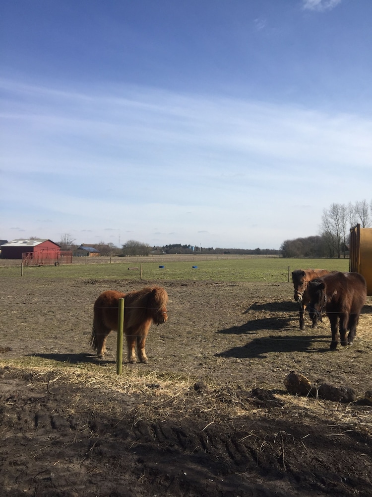 Holiday Home Rejsby near Rømø