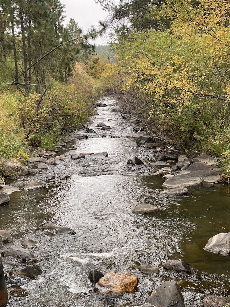 Black Hills Cabins at Quails Crossing