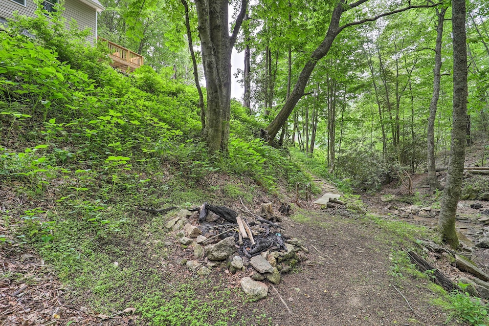 'greystone' Creekside Cabin: Hike, Fish & Explore! view 4