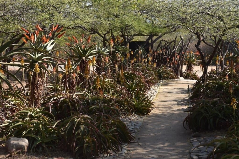 uMuzi Ondini