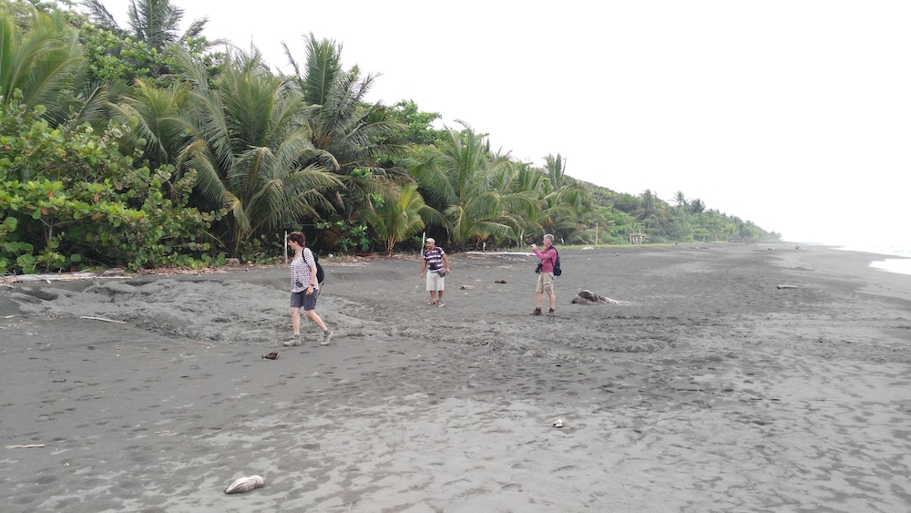 Lirio Lodge