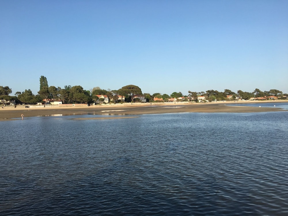 Photo 44