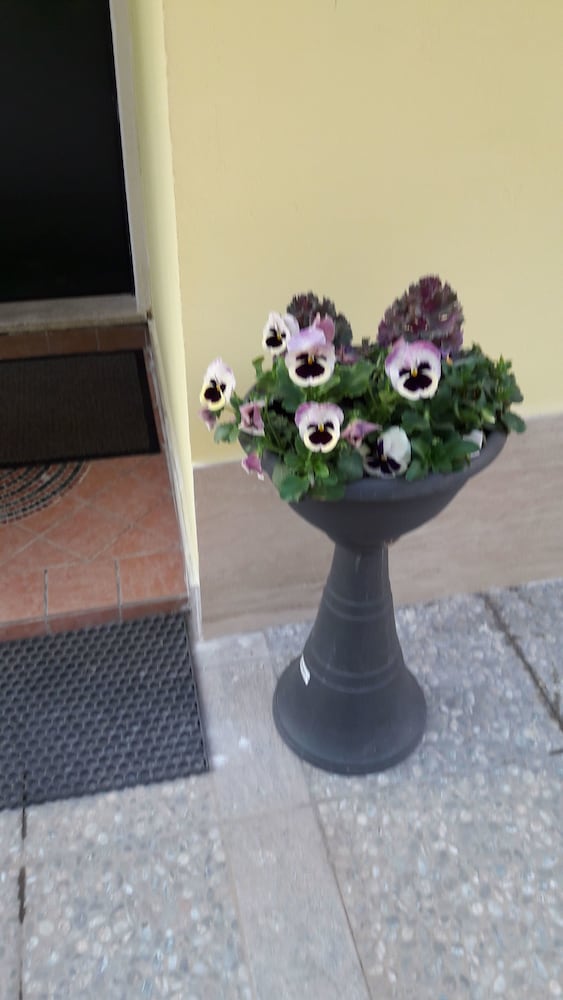 Photo 41
