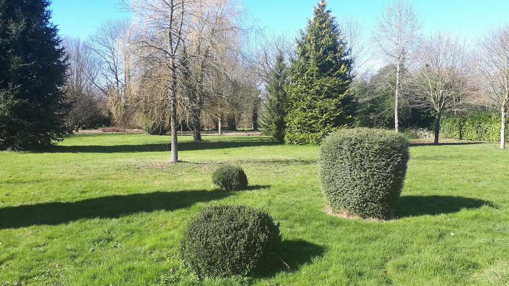Photo 40