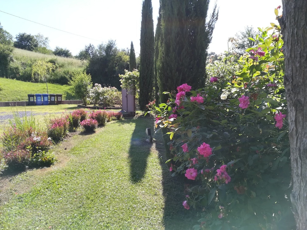 La Collina dei Ciliegi