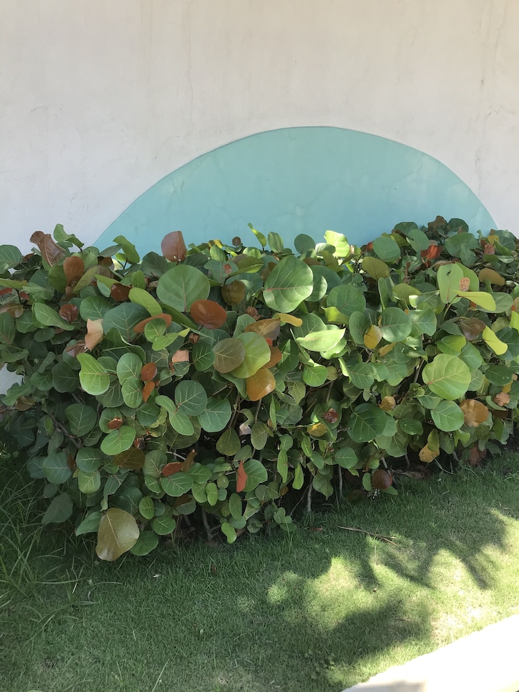 Photo 46
