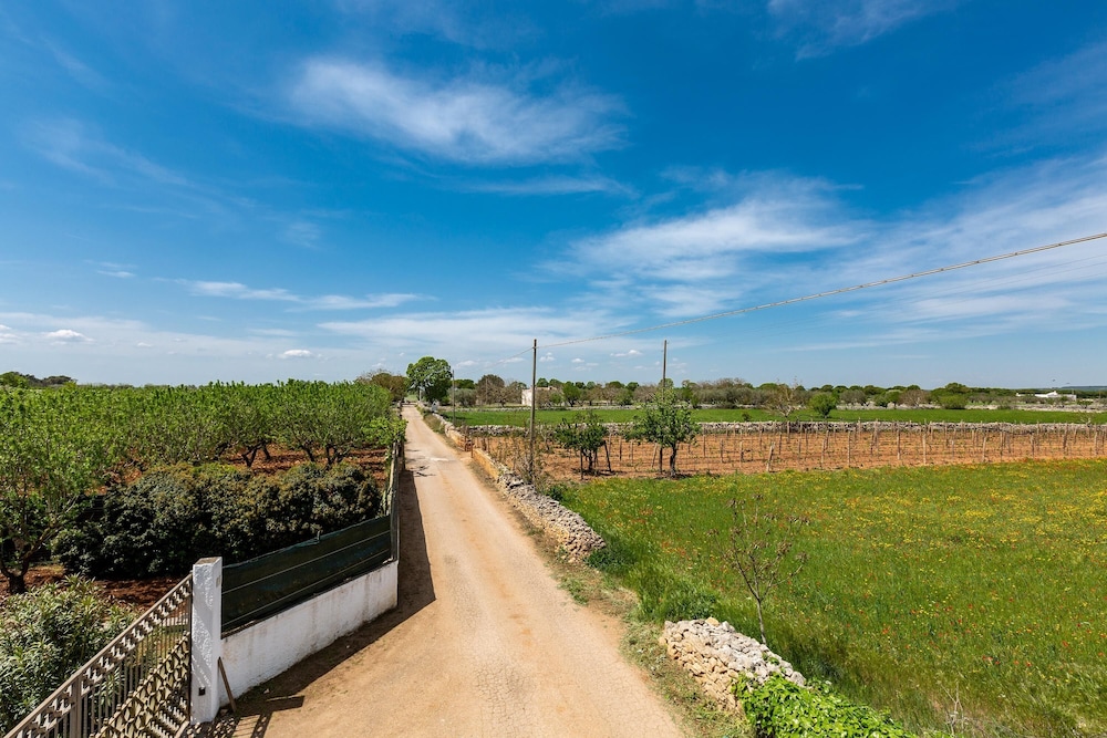 2920 Villa Oasis by Perle di Puglia photo 4