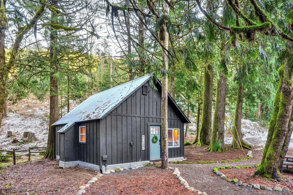 Hike, Ski & Explore: Rhododendron Forest Retreat!